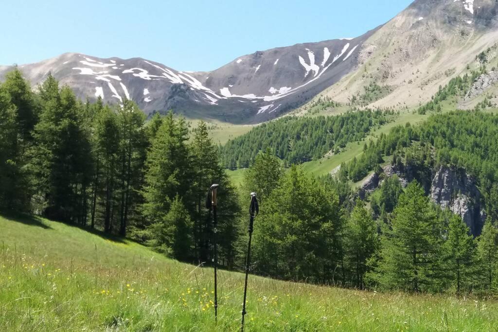 Chaleureux Appartement Au Coeur Des Orres 1800, Menage Compris Les Orres Bagian luar foto